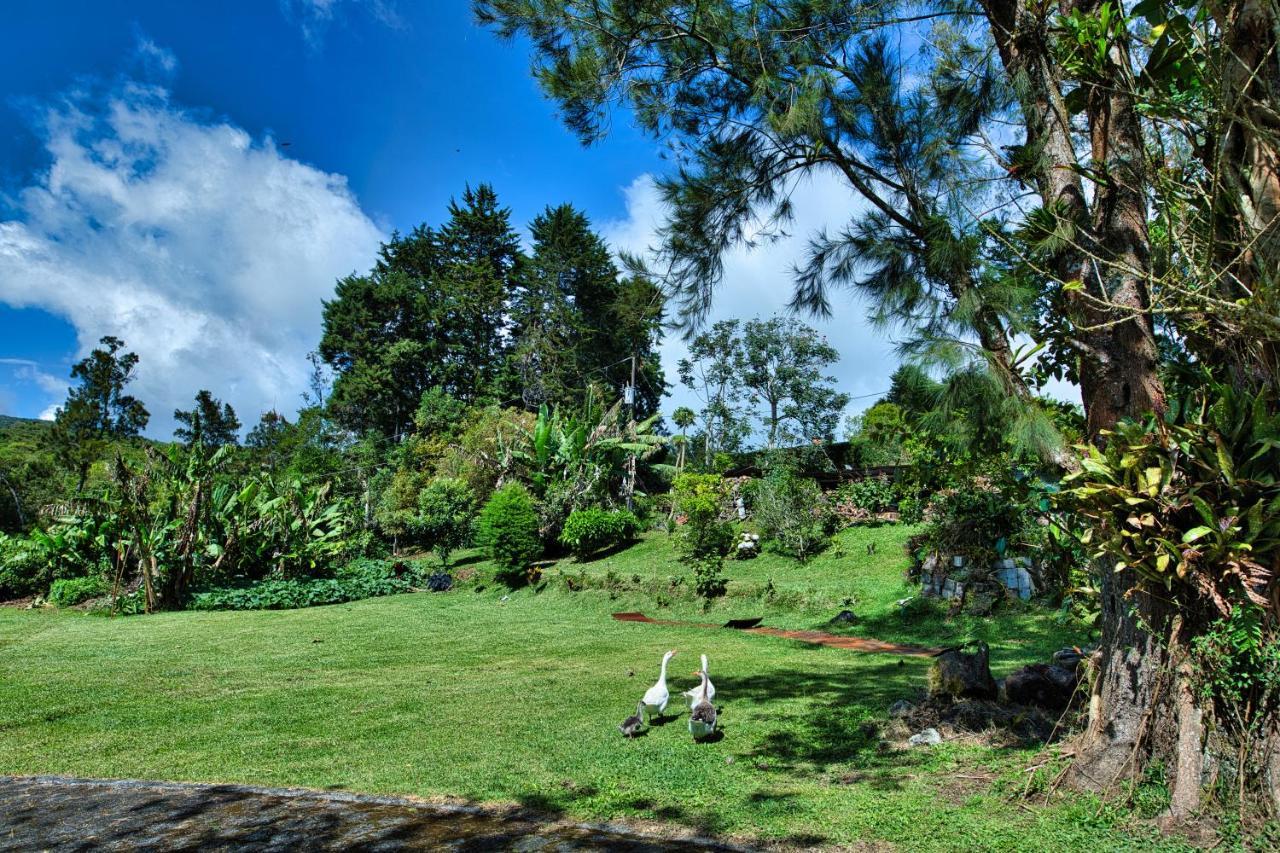 Hotel Villa Zurqui San Isidro  Buitenkant foto