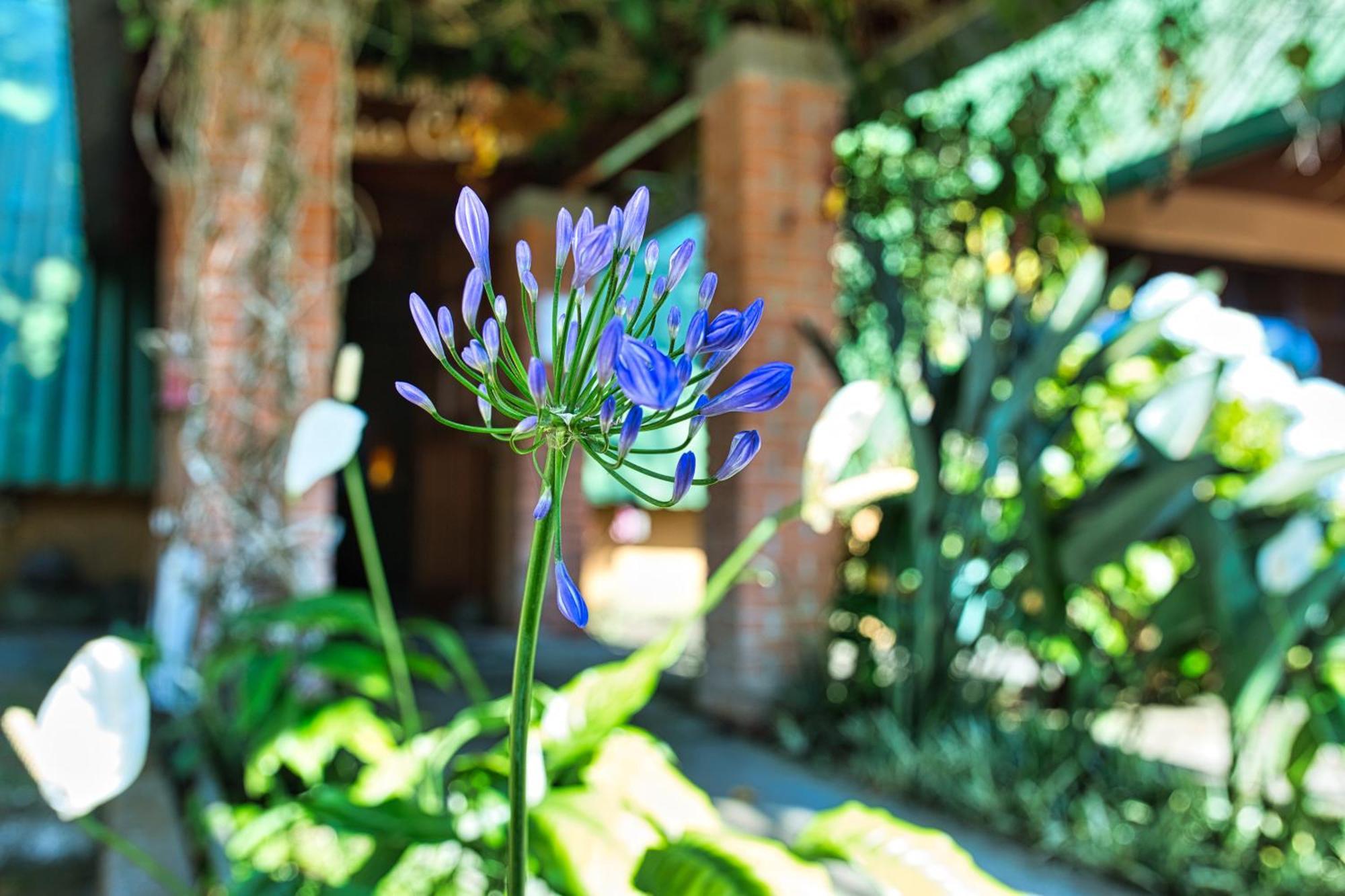 Hotel Villa Zurqui San Isidro  Buitenkant foto